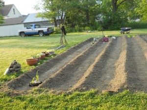 The new garden tilled.