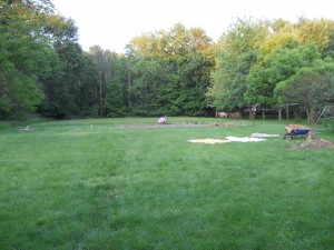 Putting in the new garden