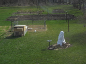 Main Garden March 2016