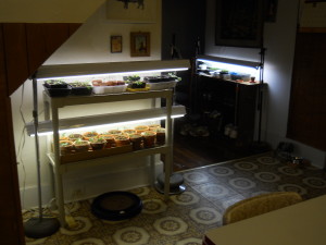 Two new shelves in the foreground with original light/shelf in back.