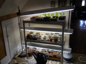 Row on bottom makes our fourth lighted row