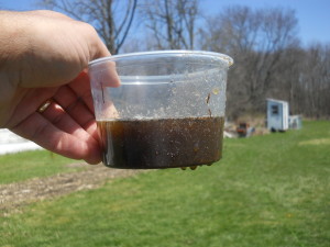 Compost Tea