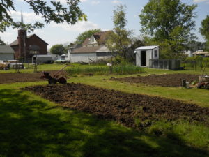 View of all three recently tilled gardens May 23, 2016
