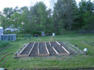 New raised beds 2016