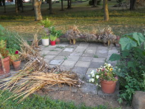 300 head of garlic lounging on the terrazza. (Blocks made by Grandpa Cocchiarale, 1972)