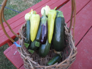 Zukes and fingerling eggplant with a few peppers for flavor